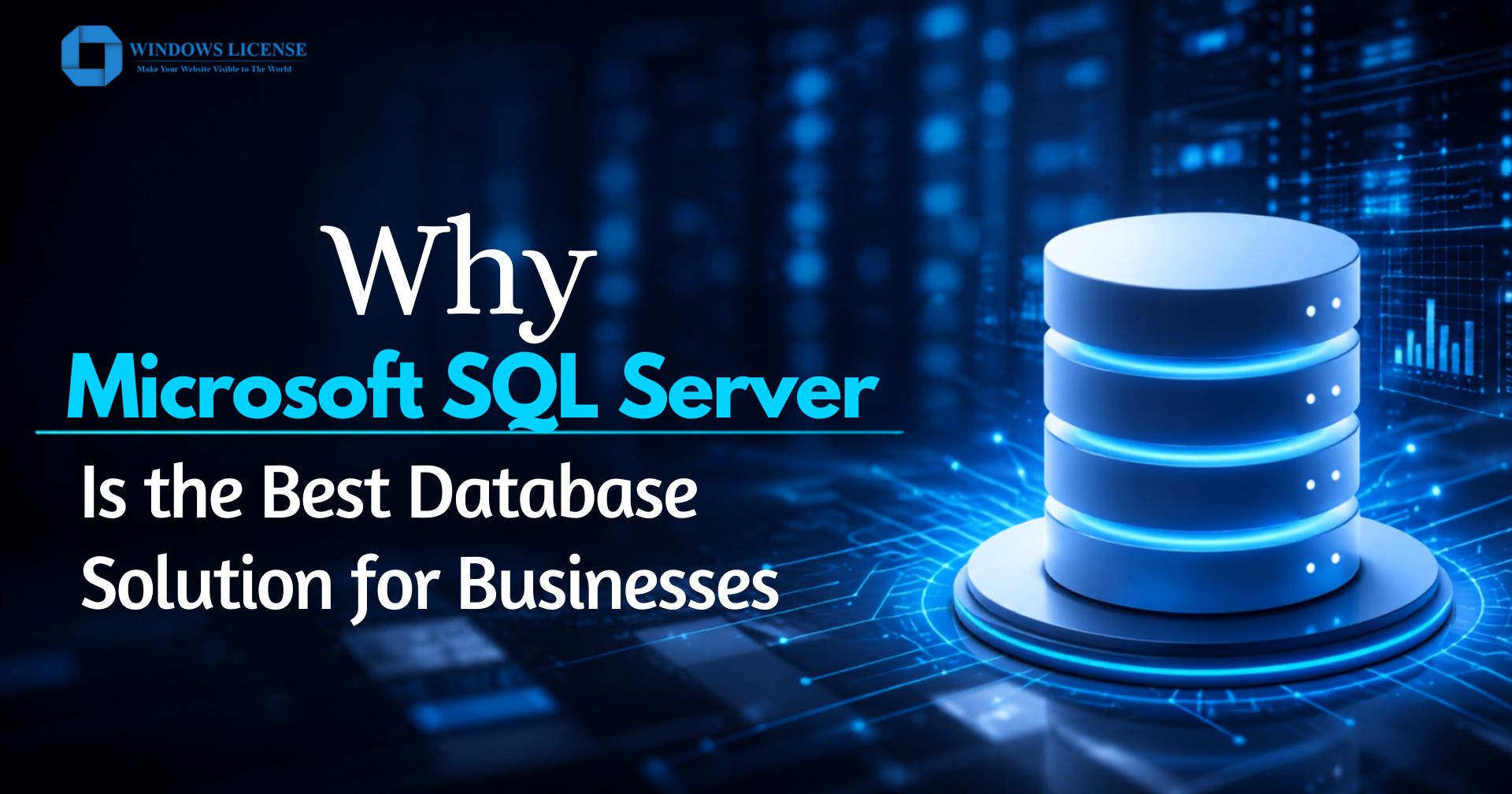 Why Microsoft SQL Server Is the Best Database Solution for Businesses 